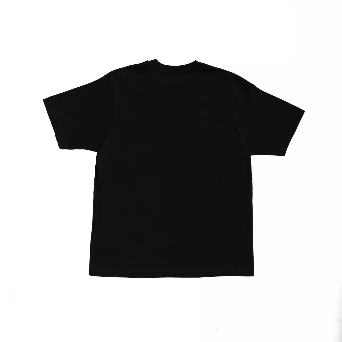 Dolphins T-Shirt – Black